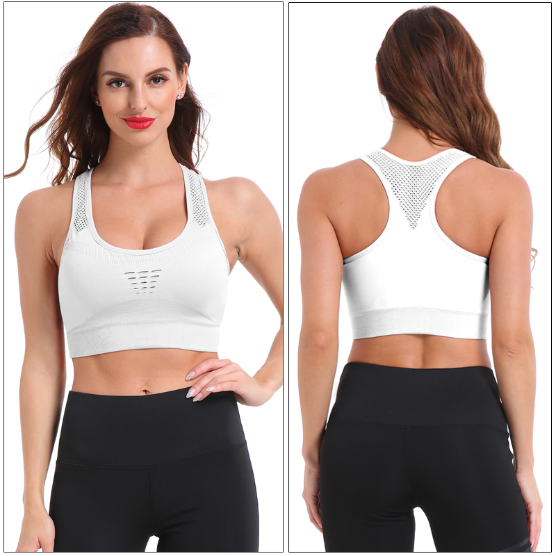 smartwool sports bra