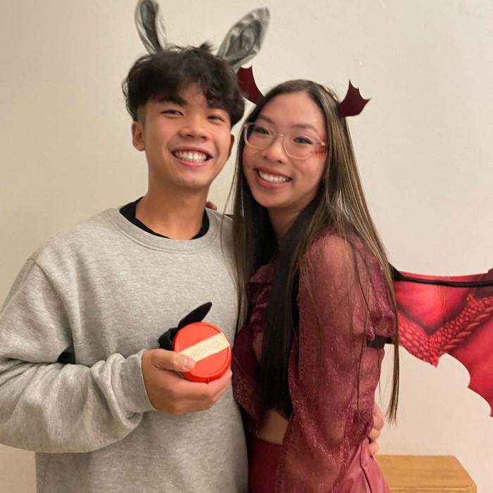 shrek dragon costume