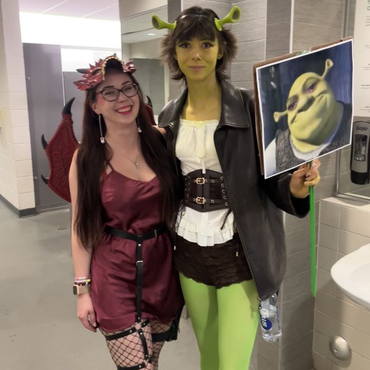 shrek dragon costume